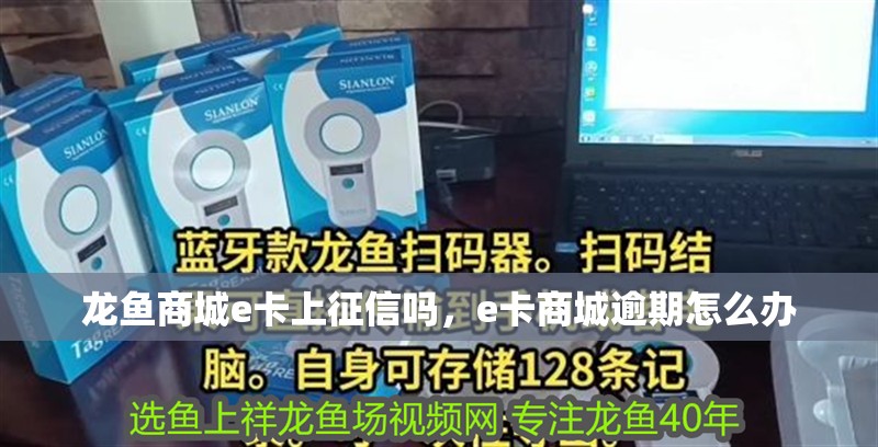 龍魚商城e卡上征信嗎，e卡商城逾期怎么辦