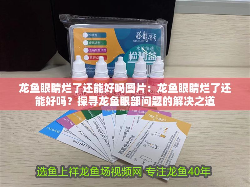 龍魚眼睛爛了還能好嗎圖片：龍魚眼睛爛了還能好嗎？探尋龍魚眼部問題的解決之道