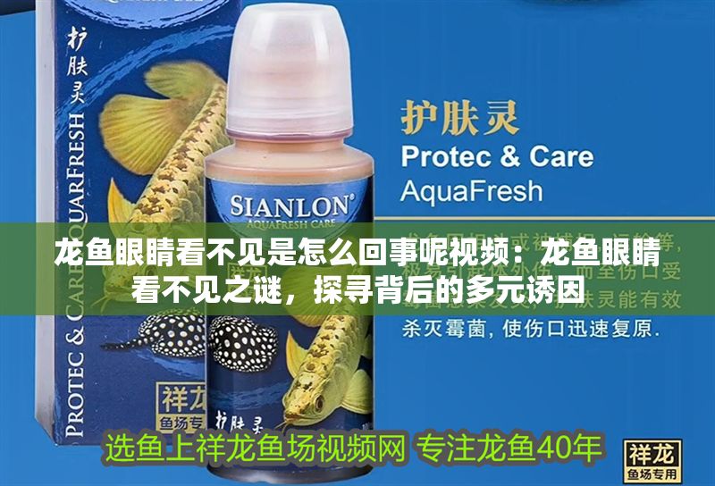 龍魚眼睛看不見是怎么回事呢視頻：龍魚眼睛看不見之謎，探尋背后的多元誘因