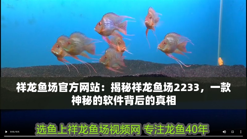 祥龍魚場官方網站：揭秘祥龍魚場2233，一款神秘的軟件背后的真相