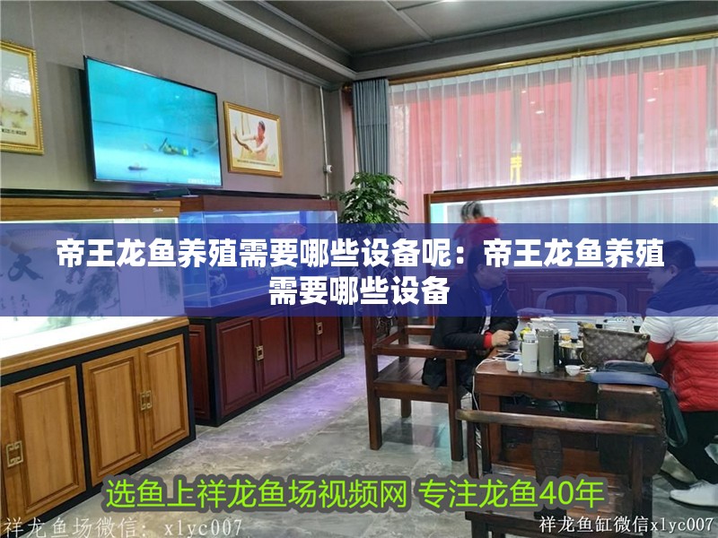 帝王龍魚養(yǎng)殖需要哪些設(shè)備呢：帝王龍魚養(yǎng)殖需要哪些設(shè)備