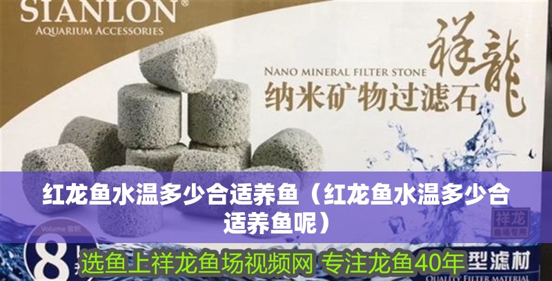 紅龍魚水溫多少合適養(yǎng)魚（紅龍魚水溫多少合適養(yǎng)魚呢）