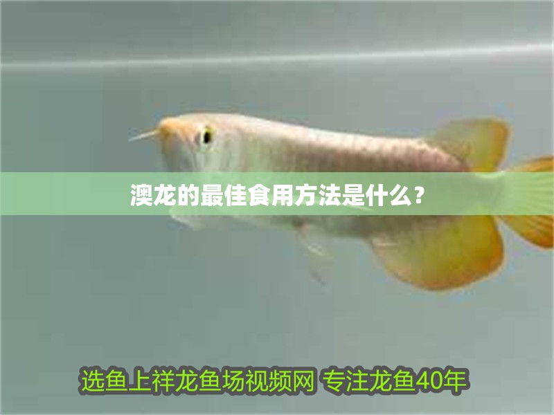 澳龍的最佳食用方法是什么？