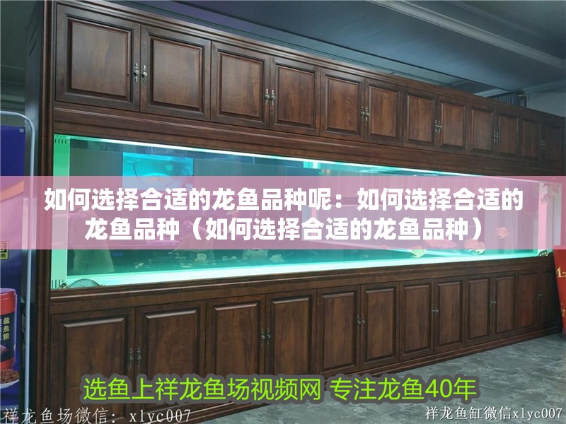 如何選擇合適的龍魚品種呢：如何選擇合適的龍魚品種（如何選擇合適的龍魚品種）