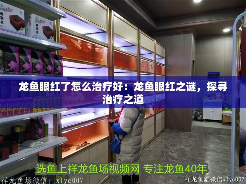 龍魚眼紅了怎么治療好：龍魚眼紅之謎，探尋治療之道