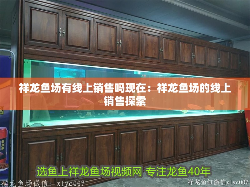 祥龍魚場有線上銷售嗎現在：祥龍魚場的線上銷售探索