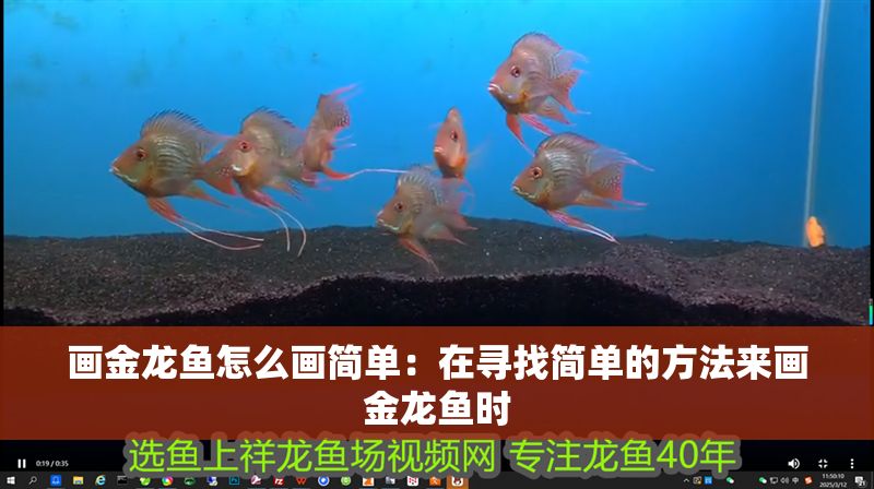 畫金龍魚怎么畫簡單：在尋找簡單的方法來畫金龍魚時