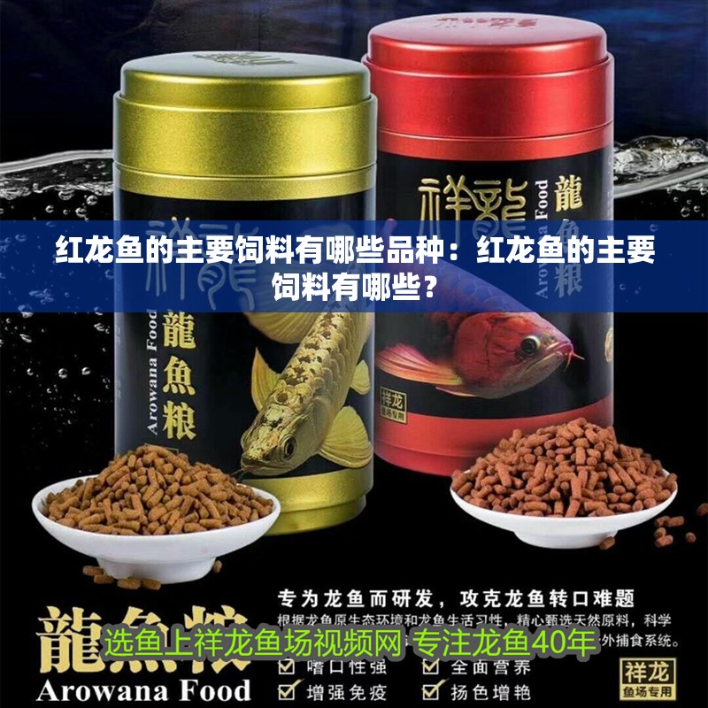 紅龍魚的主要飼料有哪些品種：紅龍魚的主要飼料有哪些？
