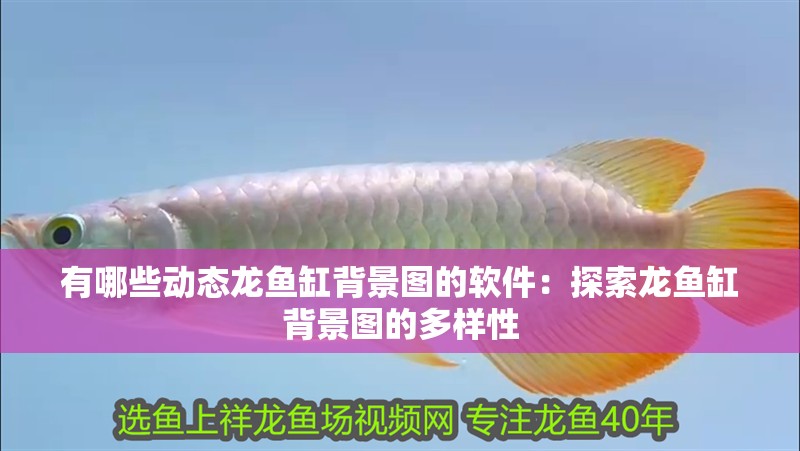 有哪些動態龍魚缸背景圖的軟件：探索龍魚缸背景圖的多樣性