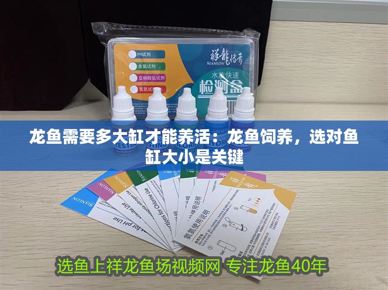 龍魚需要多大缸才能養活：龍魚飼養，選對魚缸大小是關鍵