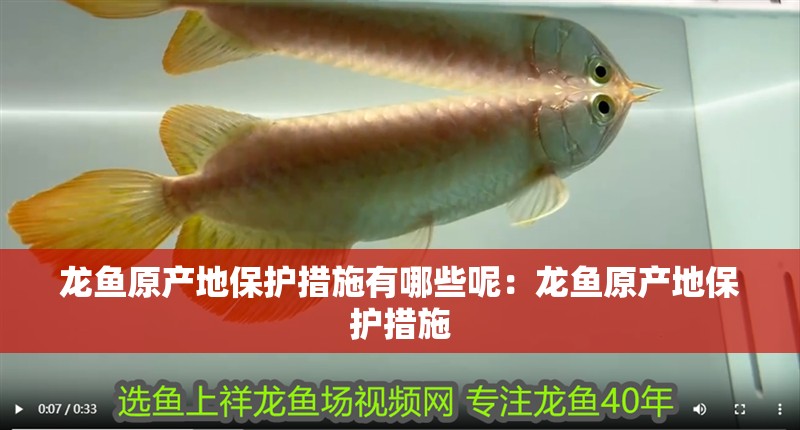 龍魚原產地保護措施有哪些呢：龍魚原產地保護措施