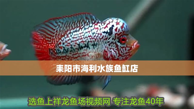 耒陽市海利水族魚缸店 耒陽市海利水族魚缸店 全國水族館企業名錄 第1張