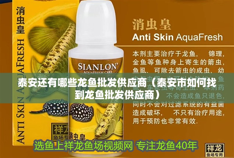 <strong><mark>泰安</mark></strong>還有哪些龍魚批發供應商（<strong><mark>泰安</mark></strong>市如何找到龍魚批發供應商）