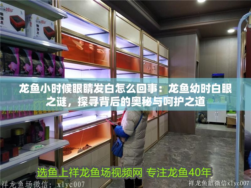 龍魚小時候眼睛發白怎么回事：龍魚幼時白眼之謎，探尋背后的奧秘與呵護之道