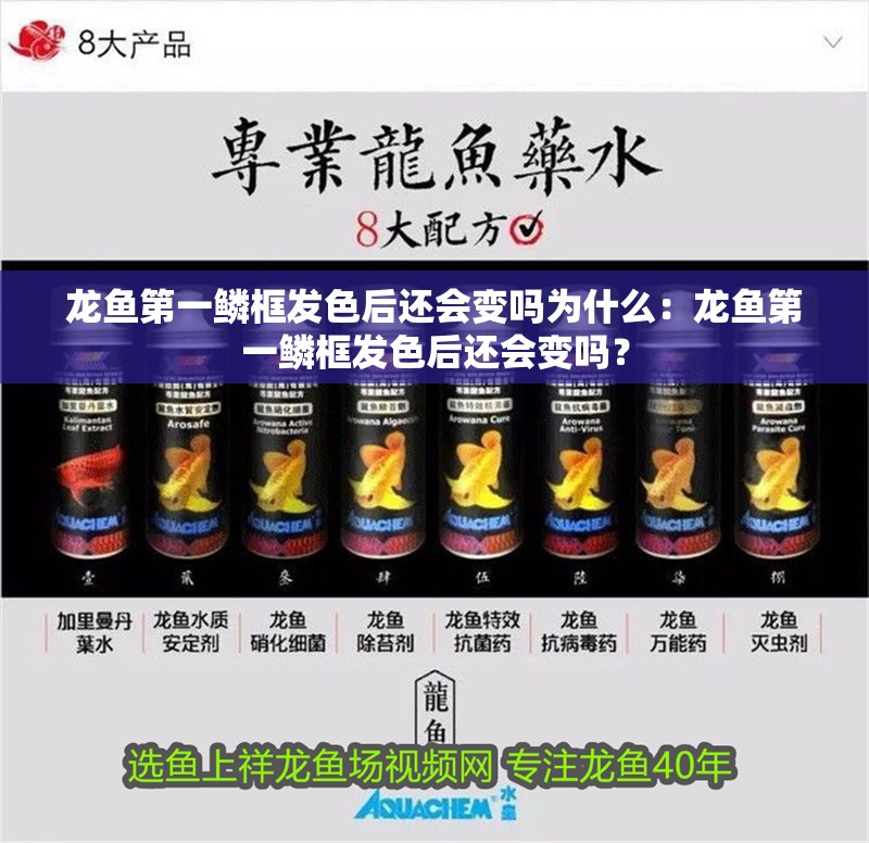 龍魚第一鱗框發(fā)色后還會變嗎為什么：龍魚第一鱗框發(fā)色后還會變嗎？
