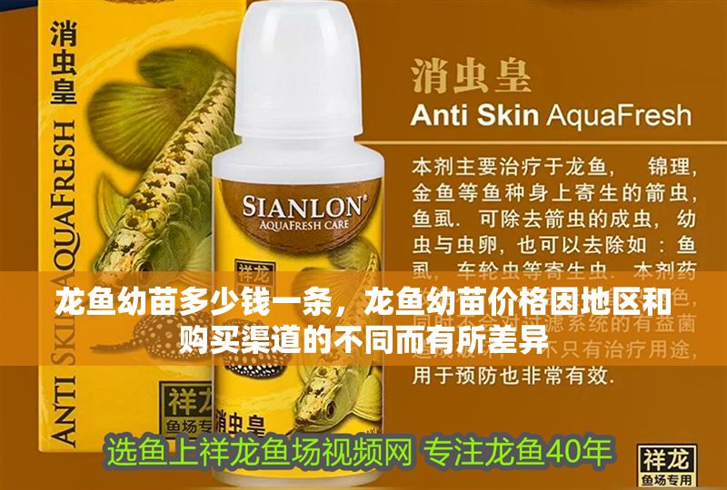 龍魚幼苗多少錢一條，龍魚幼苗價格因地區和購買渠道的不同而有所差異
