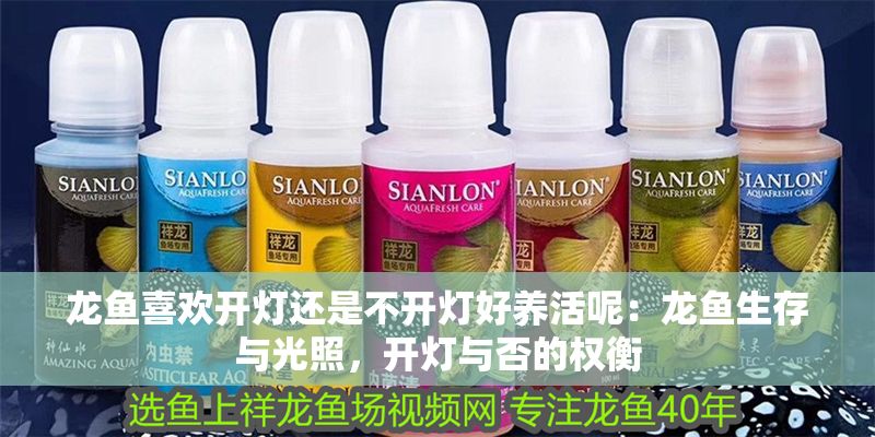 龍魚喜歡開燈還是不開燈好養(yǎng)活呢：龍魚生存與光照，開燈與否的權(quán)衡