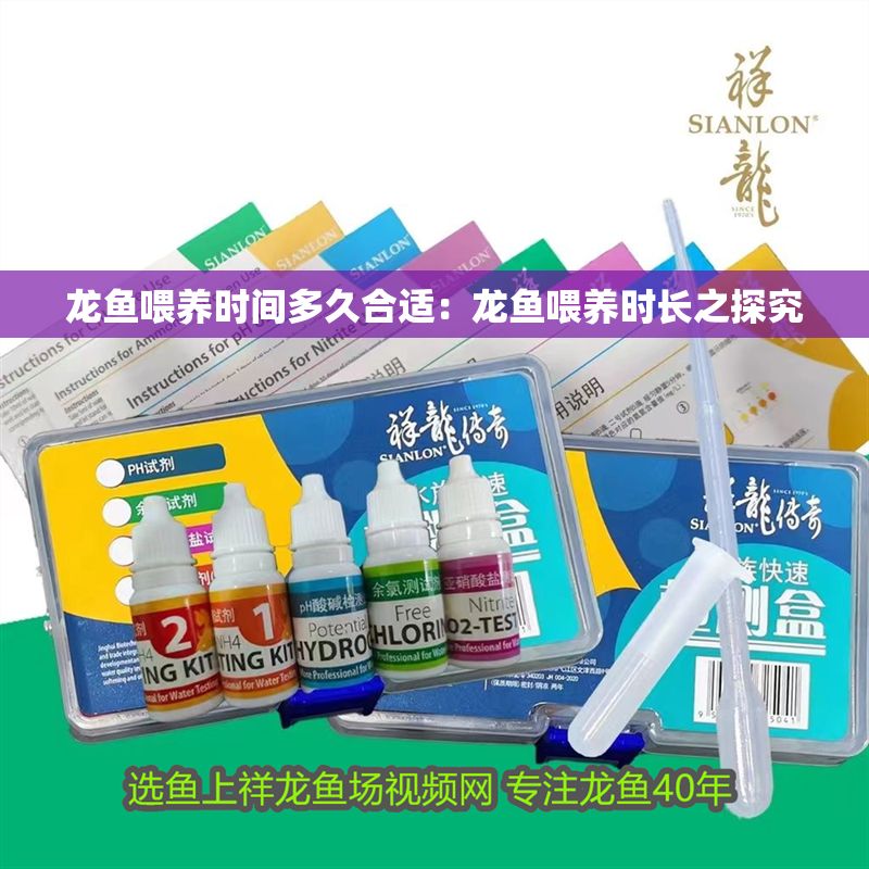 龍魚喂養時間多久合適：龍魚喂養時長之探究