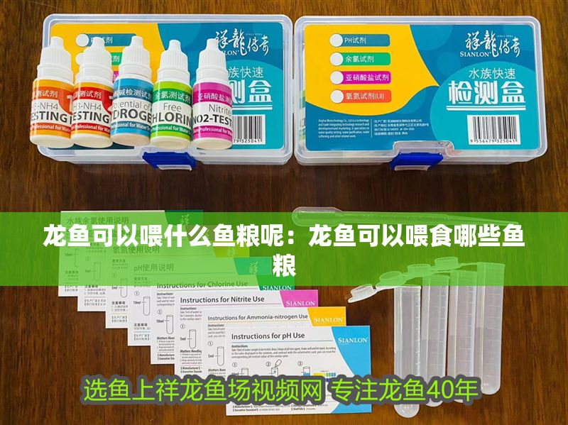 龍魚可以喂什么魚糧呢：龍魚可以喂食哪些魚糧
