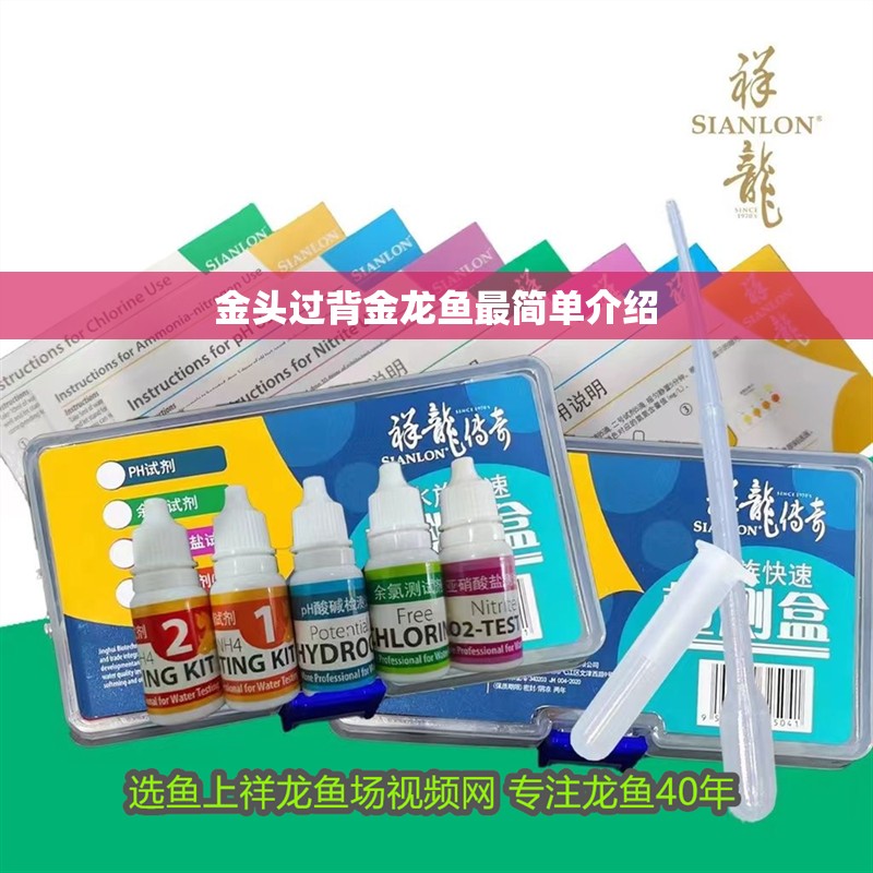 金頭過背金龍魚最簡(jiǎn)單介紹