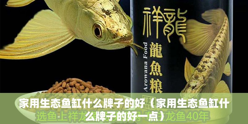 家用生態(tài)魚缸什么牌子的好（家用生態(tài)魚缸什么牌子的好一點）