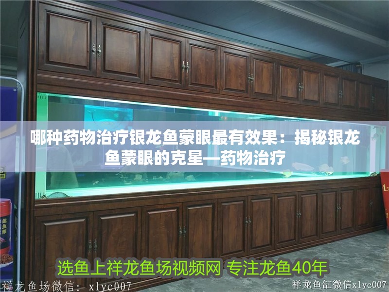 哪種藥物治療銀龍魚(yú)蒙眼最有效果：揭秘銀龍魚(yú)蒙眼的克星—藥物治療