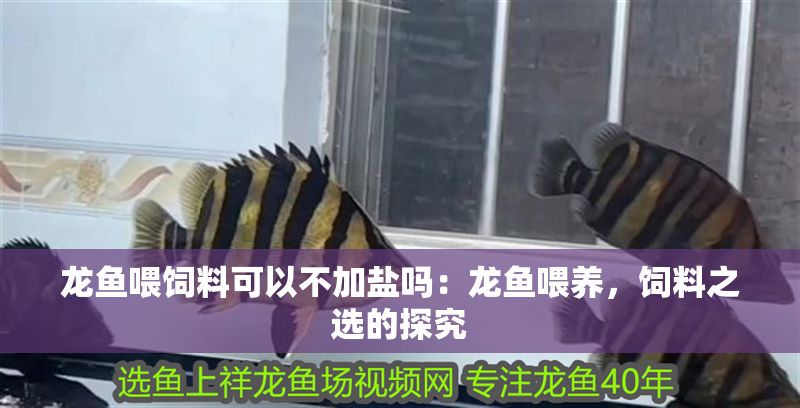 龍魚喂飼料可以不加鹽嗎：龍魚喂養，飼料之選的探究