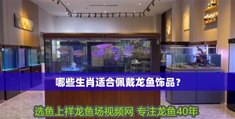 哪些生肖適合佩戴龍魚飾品？