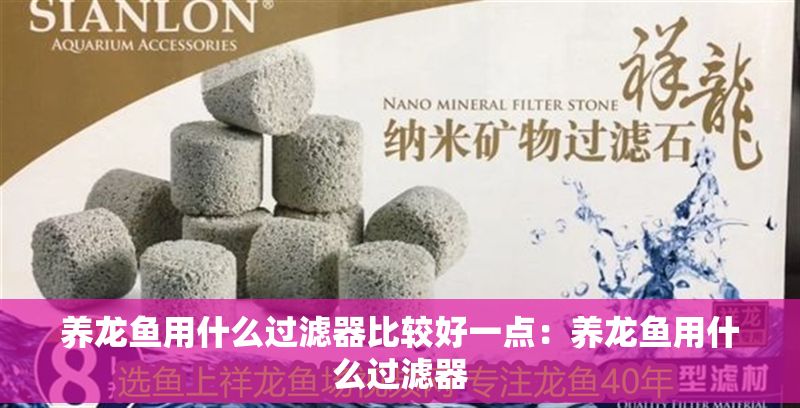 養龍魚用什么過濾器比較好一點：養龍魚用什么過濾器