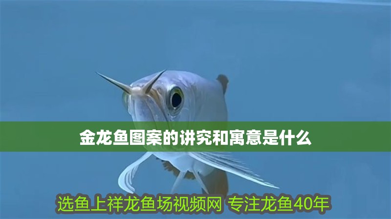 金龍魚圖案的講究和寓意是什么