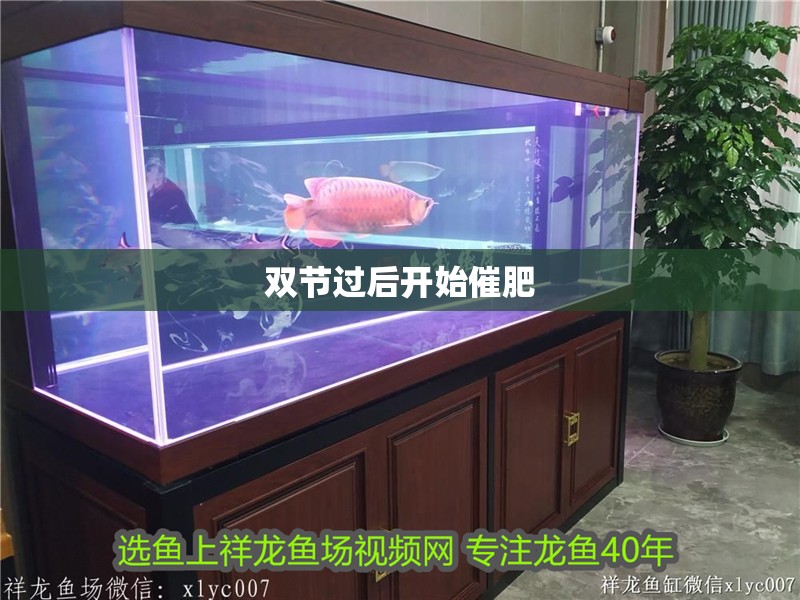 雙節過后開始催肥