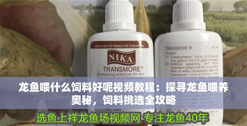 龍魚喂什么飼料好呢視頻教程：探尋龍魚喂養(yǎng)奧秘，飼料挑選全攻略