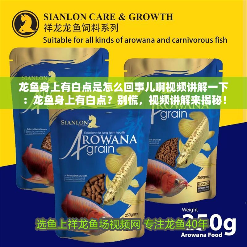 龍魚身上有白點是怎么回事兒啊視頻講解一下：龍魚身上有白點？別慌，視頻講解來揭秘！