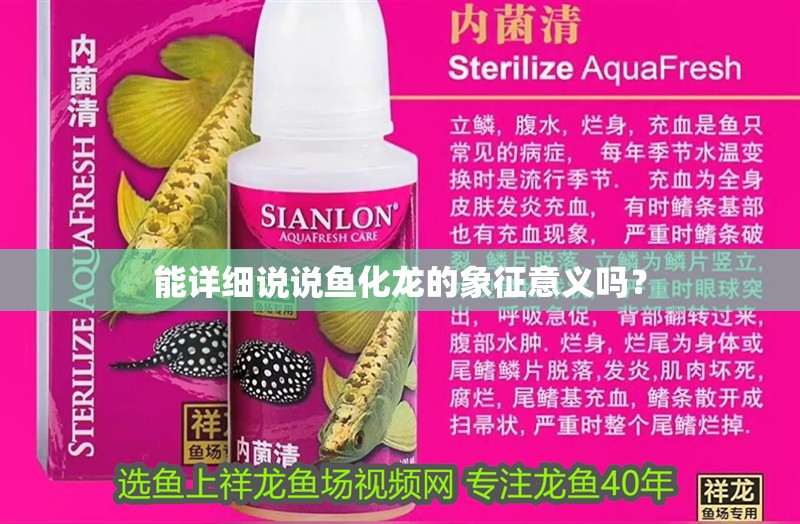 能詳細說說魚化龍的象征意義嗎？