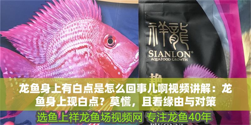 龍魚身上有白點(diǎn)是怎么回事兒啊視頻講解：龍魚身上現(xiàn)白點(diǎn)？莫慌，且看緣由與對策