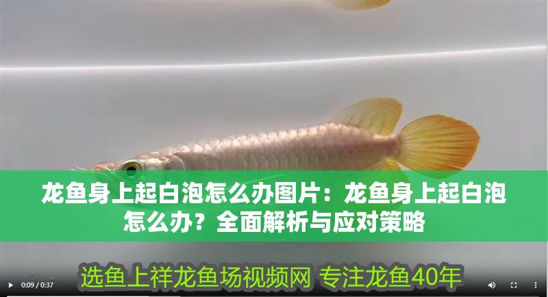 龍魚身上起白泡怎么辦圖片：龍魚身上起白泡怎么辦？全面解析與應對策略
