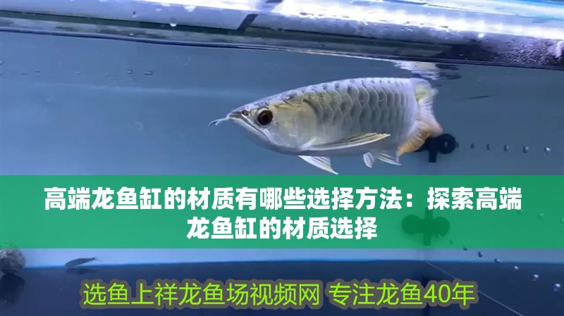 高端龍魚缸的材質有哪些選擇方法：探索高端龍魚缸的材質選擇