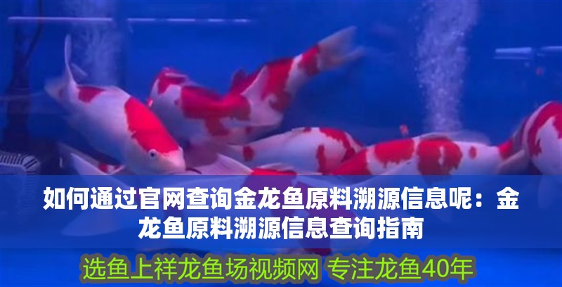 如何通過官網查詢金龍魚原料溯源信息呢：金龍魚原料溯源信息查詢指南