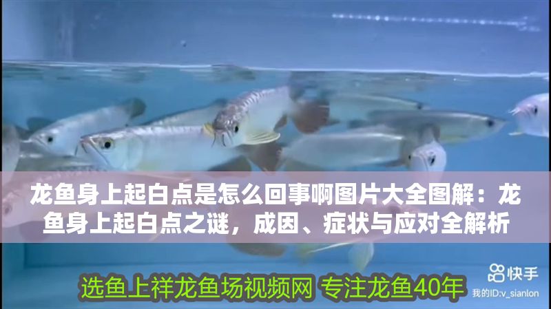 龍魚身上起白點是怎么回事啊圖片大全圖解：龍魚身上起白點之謎，成因、癥狀與應對全解析