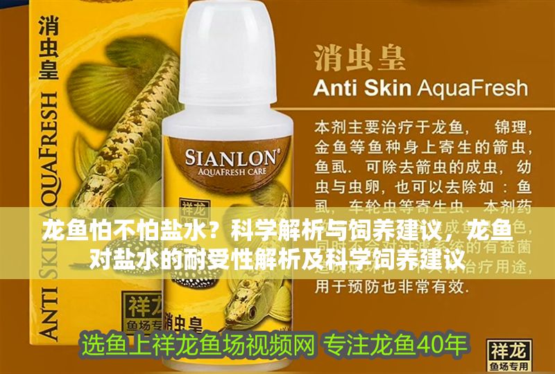 龍魚怕不怕鹽水？科學(xué)解析與飼養(yǎng)建議，龍魚對(duì)鹽水的耐受性解析及科學(xué)飼養(yǎng)建議