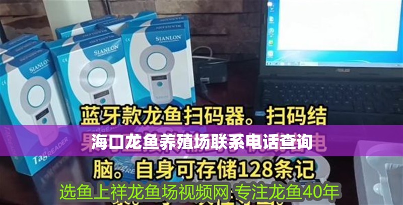 海口龍魚養殖場聯系電話查詢 海口龍魚養殖場聯系電話查詢 龍魚百科
