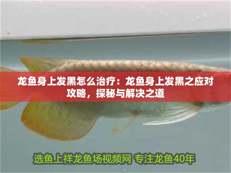 龍魚(yú)身上發(fā)黑怎么治療：龍魚(yú)身上發(fā)黑之應(yīng)對(duì)攻略，探秘與解決之道