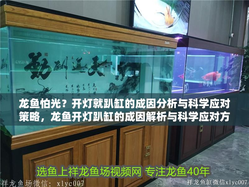 龍魚(yú)怕光？開(kāi)燈就趴缸的成因分析與科學(xué)應(yīng)對(duì)策略，龍魚(yú)開(kāi)燈趴缸的成因解析與科學(xué)應(yīng)對(duì)方案
