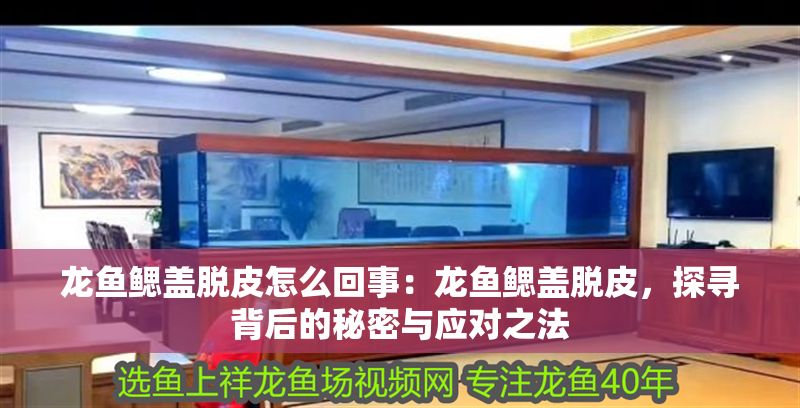 龍魚鰓蓋脫皮怎么回事：龍魚鰓蓋脫皮，探尋背后的秘密與應對之法