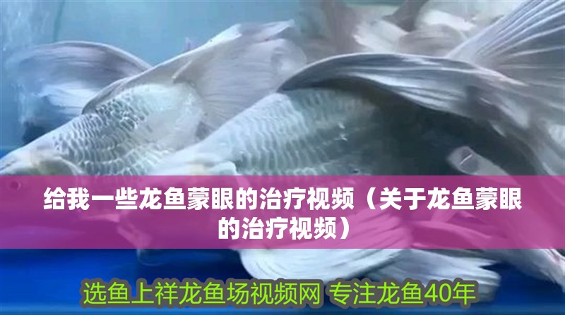 給我一些龍魚蒙眼的治療視頻（關于龍魚蒙眼的治療視頻） 給我一些龍魚蒙眼的治療視頻（關于龍魚蒙眼的治療視頻） 龍魚百科
