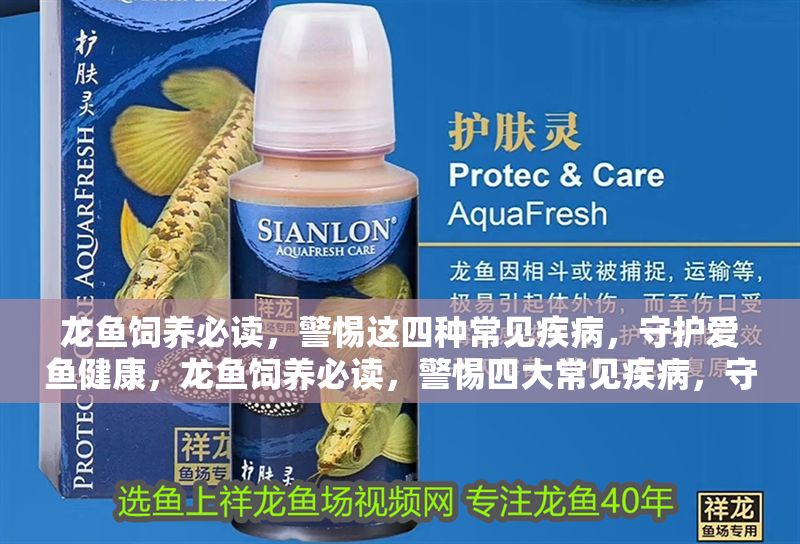龍魚飼養必讀，警惕這四種常見疾病，守護愛魚健康，龍魚飼養必讀，警惕四大常見疾病，守護愛魚健康