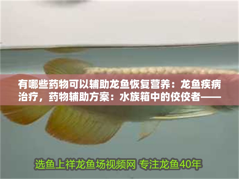 有哪些藥物可以輔助龍魚恢復營養：龍魚疾病治療，藥物輔助方案：水族箱中的佼佼者——龍魚