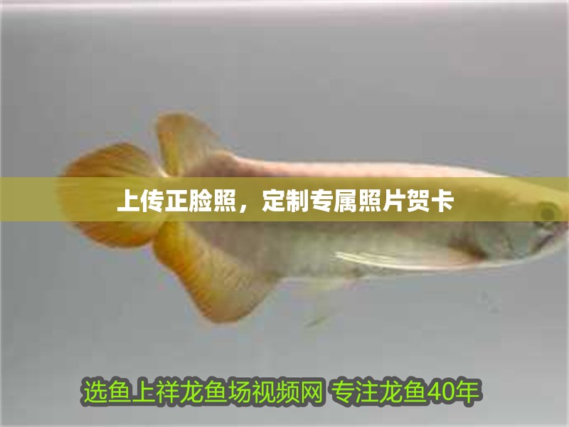 上傳正臉照，定制專屬照片賀卡