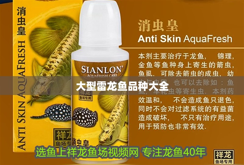 大型雷龍魚品種大全 大型雷龍魚品種大全 龍魚百科