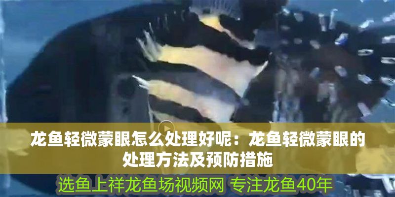 龍魚輕微蒙眼怎么處理好呢：龍魚輕微蒙眼的處理方法及預防措施